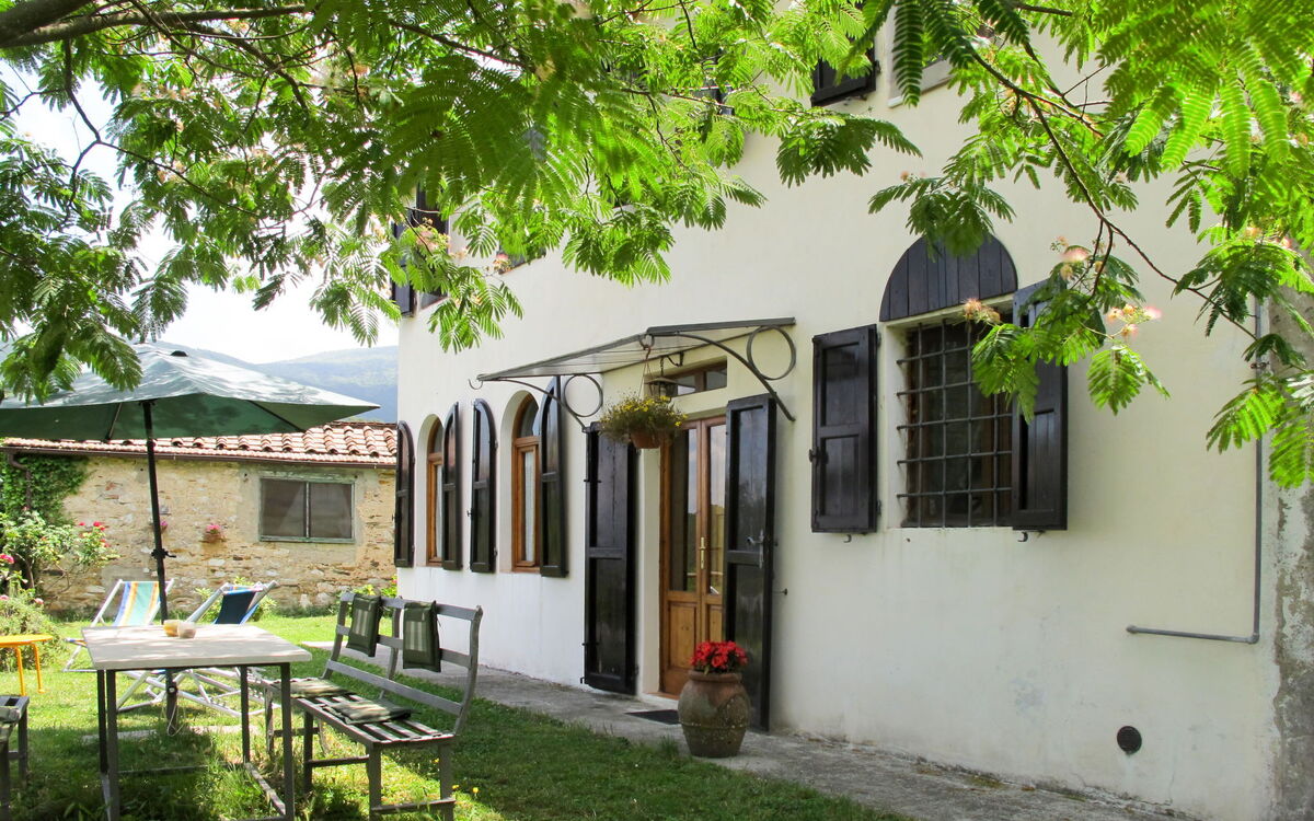 Colletto (Luu650)