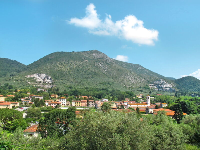 Colletto (Luu650)