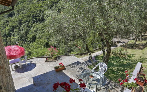 Castagneto: Plant, Flower, Chair, Tree, Flowerpot, Biome, Outdoor Furniture, Grass, Urban Design, Woody Plant