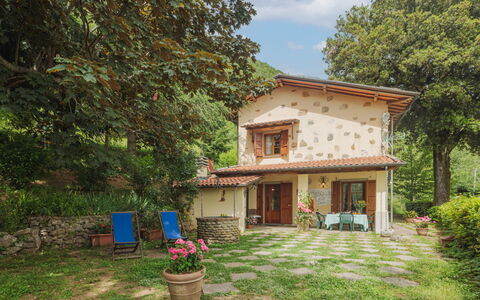 La Quercia: Plant, Building, Window, Flowerpot, Sky, Tree, Land Lot, Cloud, House, Grass