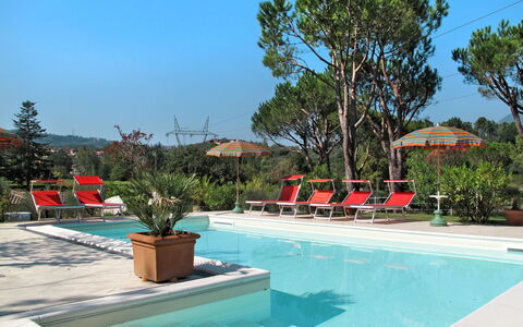 Verde Versilia: Water, Plant, Sky, Property, Swimming Pool, Azure, Tree, Shade, Outdoor Furniture, Flowerpot
