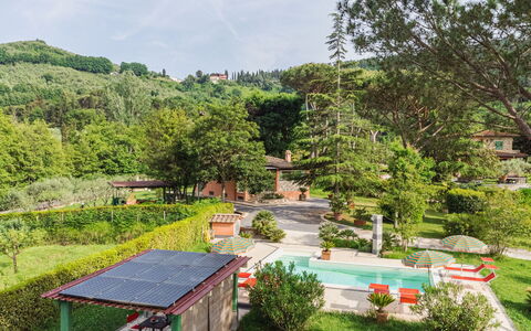 Verde Versilia: Plant, Sky, Property, Cloud, Building, Tree, Flower, Natural Landscape, Land Lot, Architecture