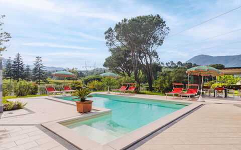 Verde Versilia: Water, Cloud, Sky, Plant, Daytime, Flower, Swimming Pool, Nature, Tree, Flowerpot