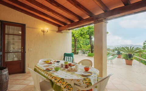 Alba: Table, Plant, Property, Furniture, Building, Wood, Chair, Window, Interior Design, Shade