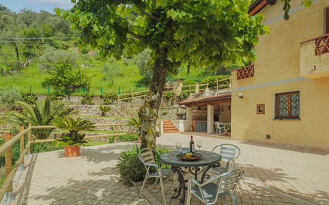 Alba: Plant, Building, Property, Table, Green, Window, Tree, Land Lot, Road Surface, Urban Design