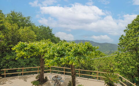 Alba: Cloud, Sky, Plant, Plant Community, Fence, Natural Landscape, Land Lot, Mountain, Flowerpot, Tree