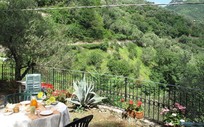 L'Oliveto