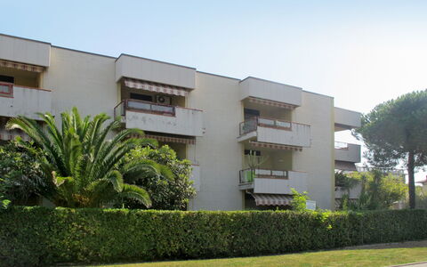 Sea House: Plant, Building, Sky, Tree, Vegetation, Land Lot, Urban Design, Grass, Residential Area, Real Estate