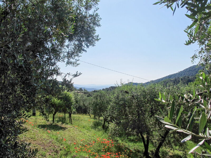 Rustico Di Sotto (Chi200)