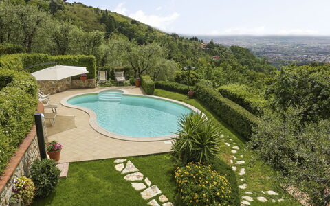 Villa i Cipressi: Plant, Sky, Water, Swimming Pool, Tree, Natural Landscape, Vegetation, Cloud, Grass, Building