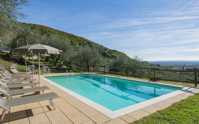 Francesco - Pieve a Nievole, Tuscany, Italy