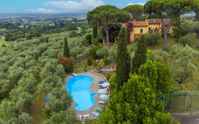 Monsummano Terme 604
