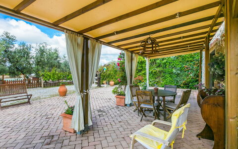 La Casina: Furniture, Property, Plant, Chair, Shade, Lighting, Outdoor Furniture, Interior Design, Wood, Flowerpot