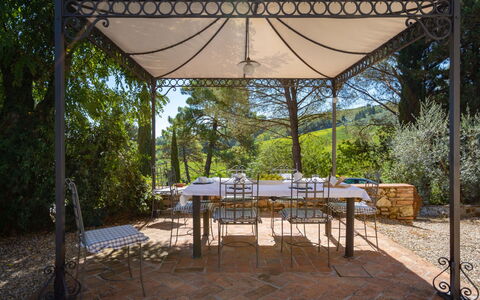 Il Sangiovese: Plant, Table, Tent, Chair, Tree, Shade, Outdoor Table, Land Lot, Outdoor Furniture, Leisure