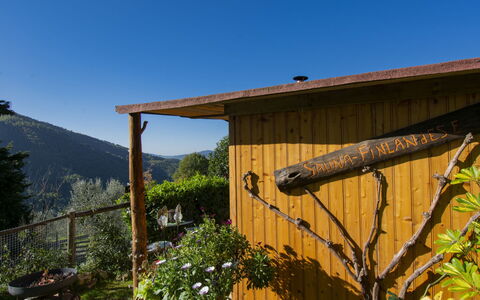 Il Poderino: Sky, Plant, Property, Building, Wood, Tree, Shade, Cottage, Landscape, Rural Area