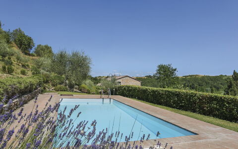 Amos: Water, Plant, Sky, Swimming Pool, Nature, Azure, Natural Landscape, Tree, Vegetation, Land Lot