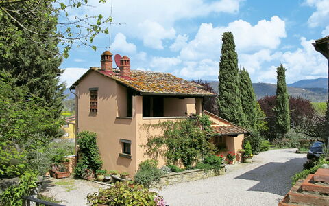 Cadellura: Plant, Sky, Cloud, Window, Building, Land Lot, Tree, House, Residential Area, Cottage