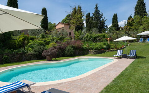Cadellura: Water, Plant, Sky, Property, Building, Blue, Tree, Swimming Pool, Shade, Outdoor Furniture