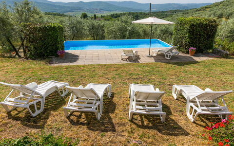 Il Forno: Plant, Property, Plant Community, Sky, Nature, Outdoor Furniture, Tree, Land Lot, Vegetation, Shade