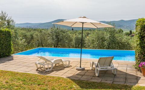 Il Forno: Plant, Sky, Water, Furniture, Property, Plant Community, Swimming Pool, Umbrella, Azure, Shade