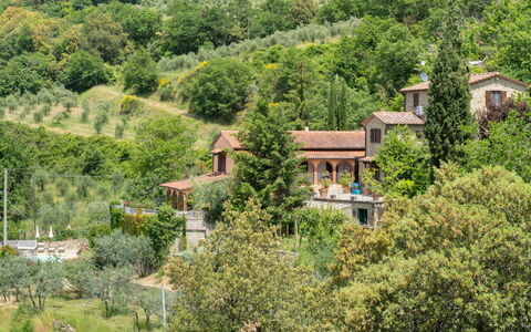 La Felcaia: Plant, Plant Community, Natural Landscape, Tree, Land Lot, Highland, Residential Area, Real Estate, Groundcover, Shrub