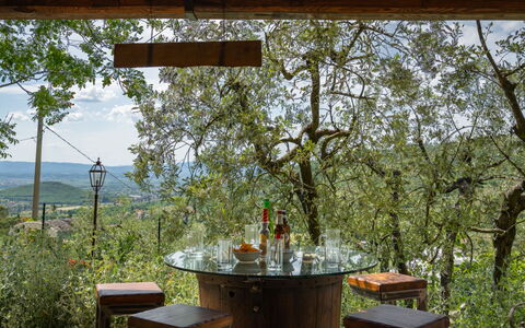 La Felcaia: Plant, Table, Furniture, Light, Botany, Nature, Wood, Shade, Sky, Natural Landscape