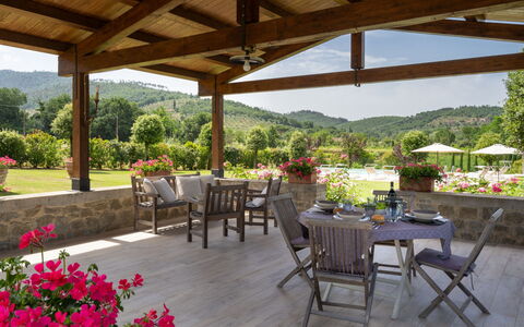 Santa Lucia: Plant, Flower, Table, Furniture, Property, Flowerpot, Chair, Interior Design, Outdoor Furniture, Shade