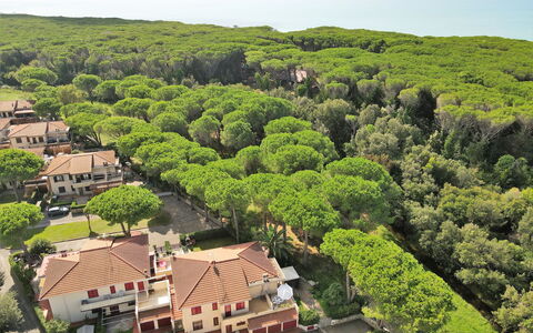 Pineforest: Property, Sky, Plant, Building, Tree, Natural Landscape, House, Land Lot, Urban Design, Landscape