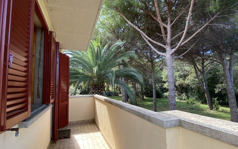Pineforest: Building, Plant, Tree, Shade, Interior Design, Arecales, Wood, Residential Area, Facade, Real Estate