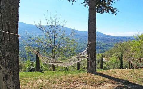 Villa al Sole: Tree, Vegetation, Wilderness, Sky, Mountain, Grass, Woody Plant, Wall, Hill, Spring