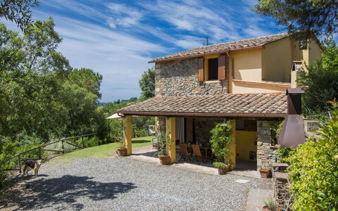Podere Gabruccino: Plant, Sky, Building, Cloud, Property, Window, Tree, House, Shade, Land Lot
