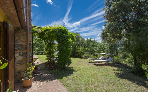 Podere Gabruccino: Plant, Sky, Cloud, Shade, Tree, Land Lot, Flowerpot, Natural Landscape, Grass, Shrub