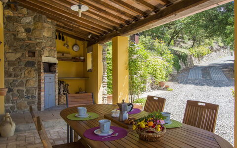 Podere Gabruccino: Table, Furniture, Property, Plant, Wood, Chair, Interior Design, Lighting, Window, Cottage