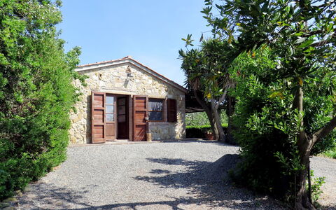 Il Campo: Plant, Sky, Building, Window, Tree, Shade, Land Lot, House, Door, Road Surface