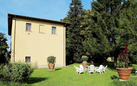 Laura: Plant, Sky, Property, Plant Community, Window, Building, Tree, Leaf, Land Lot, Natural Landscape