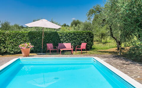 Podere Cerbaia (Smr100): Water, Plant, Sky, Property, Swimming Pool, Green, Azure, Blue, Shade, Rectangle