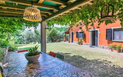 Podere Cerbaia (Smr100): Plant, Flowerpot, Building, Houseplant, Window, Shade, Architecture, Interior Design, Leisure, Tree