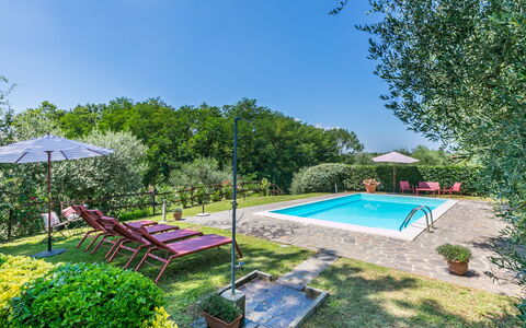 Podere Cerbaia (Smr100): Plant, Water, Sky, Swimming Pool, Shade, Outdoor Furniture, Tree, Umbrella, Grass, Leisure
