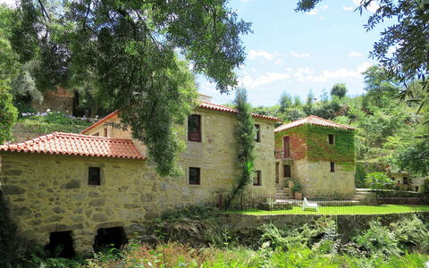 Do Moinho: Plant, Building, Property, Window, Sky, Plant Community, Cloud, Natural Landscape, Tree, Land Lot