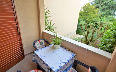 Accommodation:&nbsp;Denise 703.1