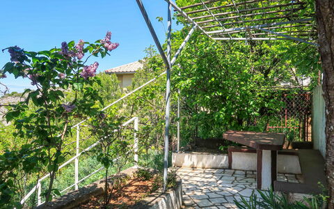 Senj 631: Shade, Garden, Backyard, Fence, Handrail, Outdoor Structure