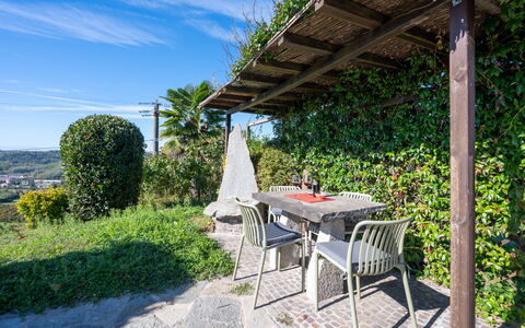 Cossombrato 607: Shrub, Garden, Outdoor Furniture, Shade, Outdoor Table, Landscaping, Chair, Eco Hotel, Backyard, Houseplant