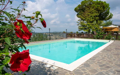 Vinchio 604: Water, Cloud, Flower, Sky, Plant, Property, Swimming Pool, Azure, Tree, Chair