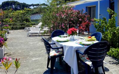 San Lorenzo al Mare 625: Plant, Table, Flower, Property, Furniture, Building, Window, Outdoor Table, Leaf, Sky