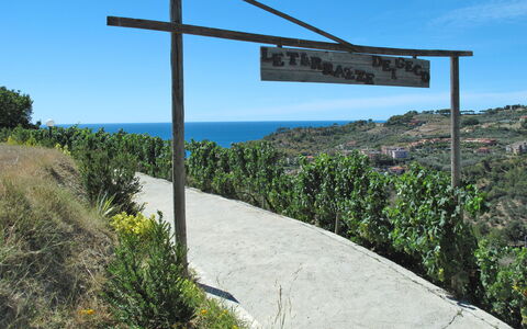 San Lorenzo al Mare 639: Sky, Plant, Plant Community, Ecoregion, Nature, Natural Environment, Natural Landscape, Slope, Land Lot, Vegetation