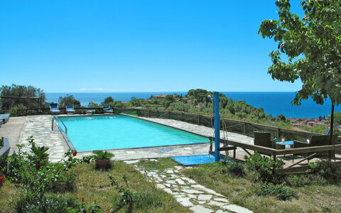 San Lorenzo al Mare 639: Water, Plant, Sky, Swimming Pool, Natural Landscape, Tree, Botany, Outdoor Furniture, Vegetation, Grass