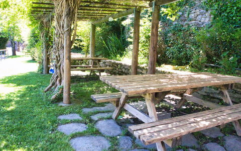 Dolcedo 663: Plant, Furniture, Outdoor Bench, Shade, Outdoor Furniture, Picnic Table, Wood, Vegetation, Tree, Biome