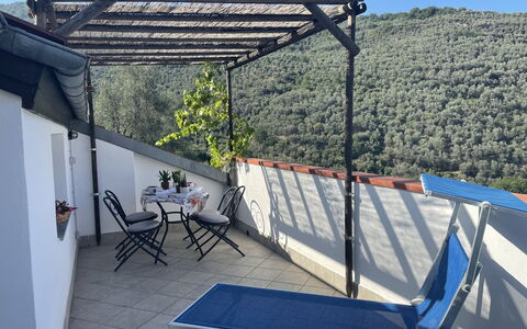 Accommodation:&nbsp;Asplanato (Dol161) 663.2