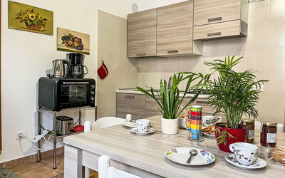 Asplanato (Dol166) 663.6: Property, Plant, Cabinetry, Table, Building, Flowerpot, Interior Design, Kitchen, Tableware, Houseplant