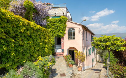 Dolcedo 665: Sky, Plant, Flower, Cloud, Building, Property, Window, House, Architecture, Vegetation